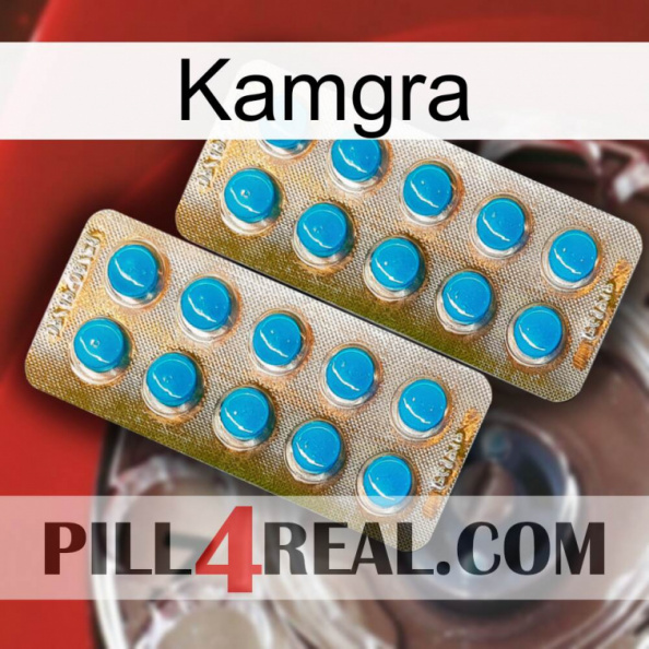 Kamgra new08.jpg